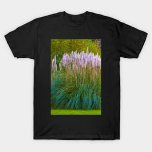 Gulbenkian Museum garden. T-Shirt